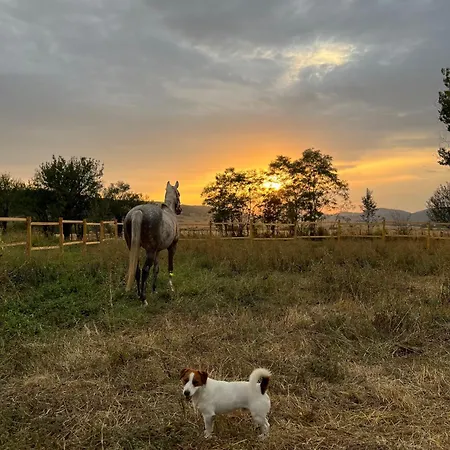 Casa de Férias Greenview