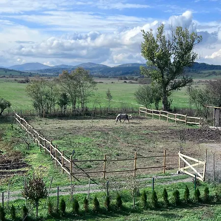 Casa de Férias Greenview *