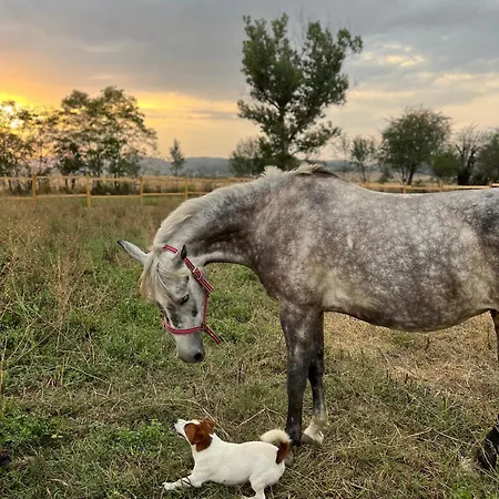 Casa de Férias Greenview *