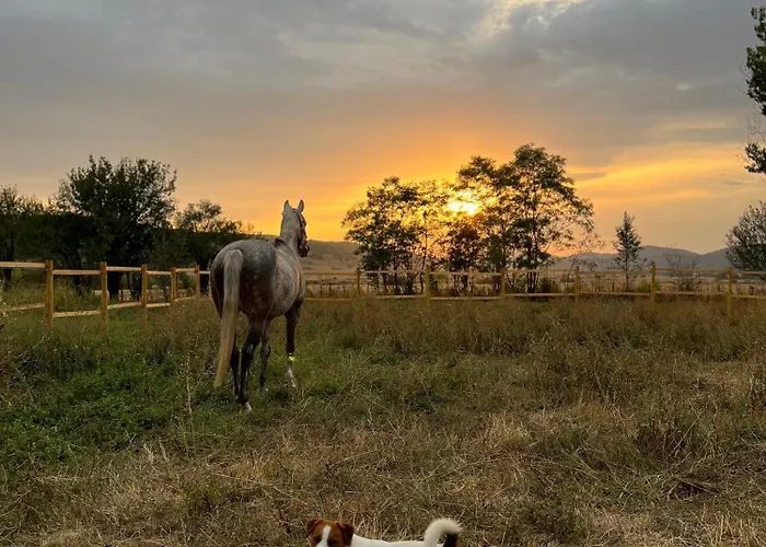 Hébergement de vacances Greenview Villa Sofia