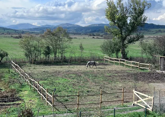 Hébergement de vacances Greenview Villa Sofia *